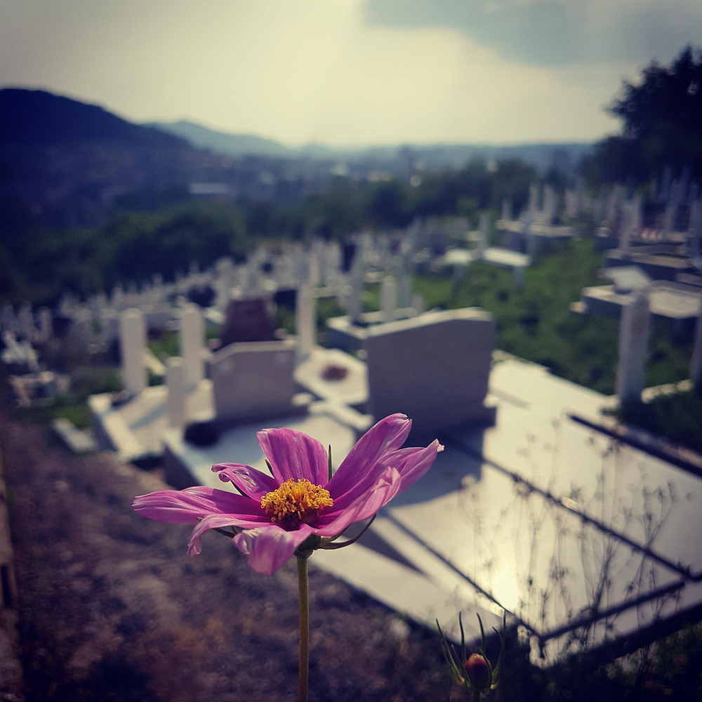Ölenleri Mezarda Neler Bekliyor Kuran, İncil, Tevrat Ve Diğer Dinlere Göre Kabir Hayatı Gencgazete (18)