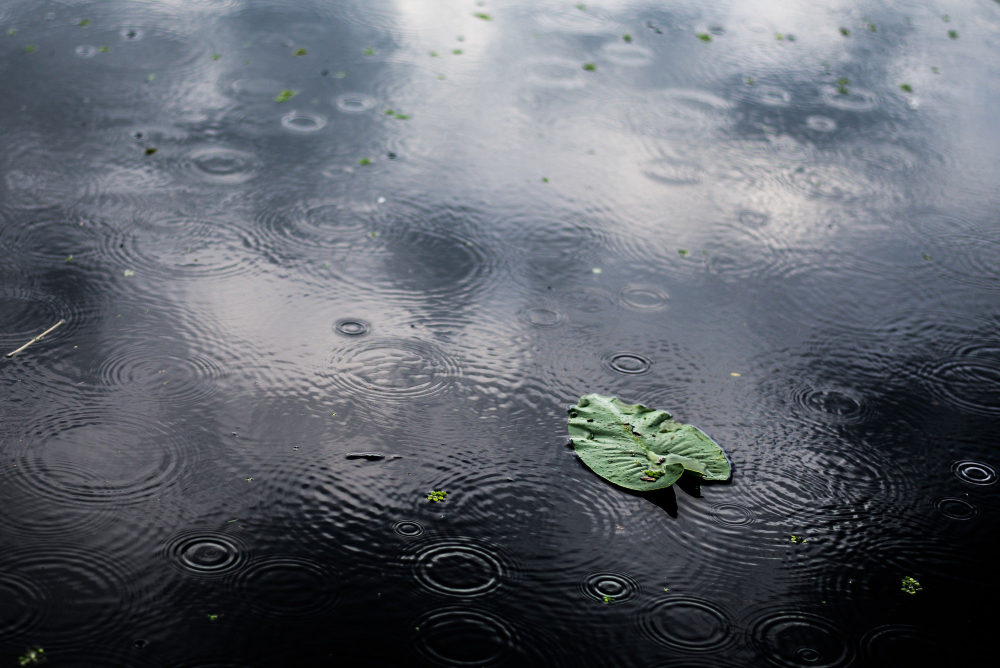 Rain Rains Yağmurlar Yağmur Nisan Yağmurları Şifalı Mı Yağış Gencgazete (11)