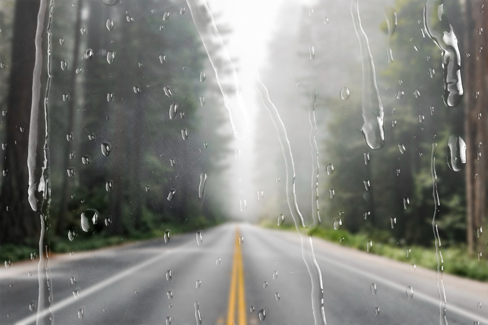 Rain Rains Yağmurlar Yağmur Nisan Yağmurları Şifalı Mı Yağış Gencgazete (12)