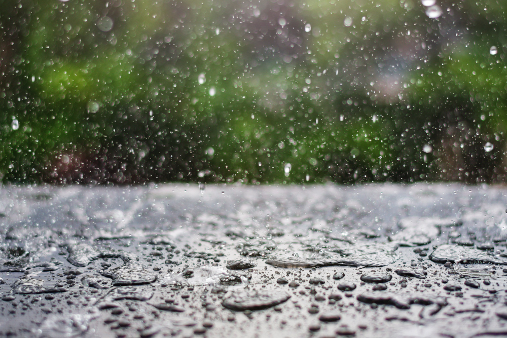 Rain Rains Yağmurlar Yağmur Nisan Yağmurları Şifalı Mı Yağış Gencgazete (13)