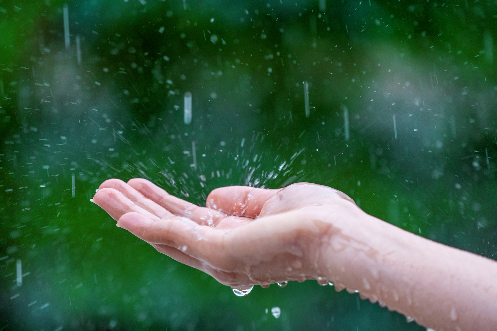 Rain Rains Yağmurlar Yağmur Nisan Yağmurları Şifalı Mı Yağış Gencgazete (14)