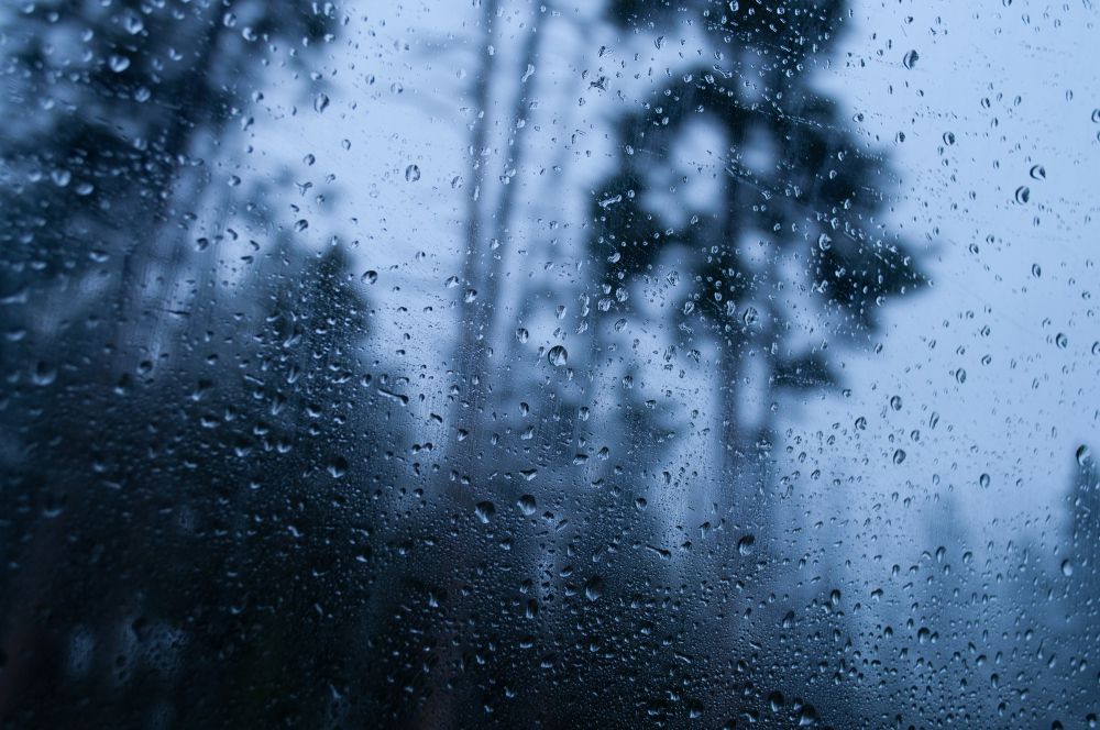 Rain Rains Yağmurlar Yağmur Nisan Yağmurları Şifalı Mı Yağış Gencgazete (16)