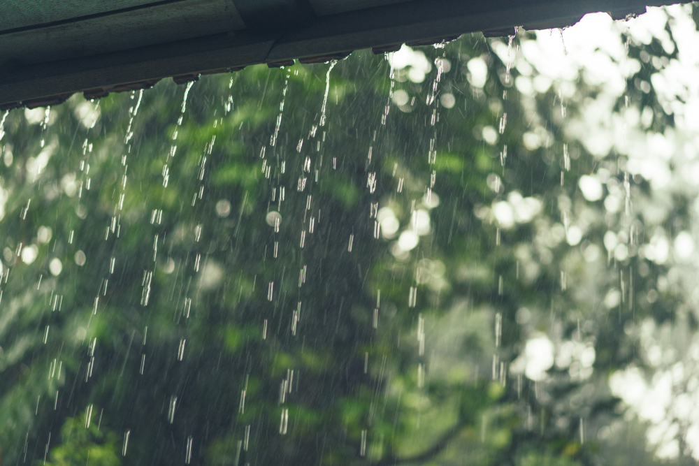 Rain Rains Yağmurlar Yağmur Nisan Yağmurları Şifalı Mı Yağış Gencgazete (9)