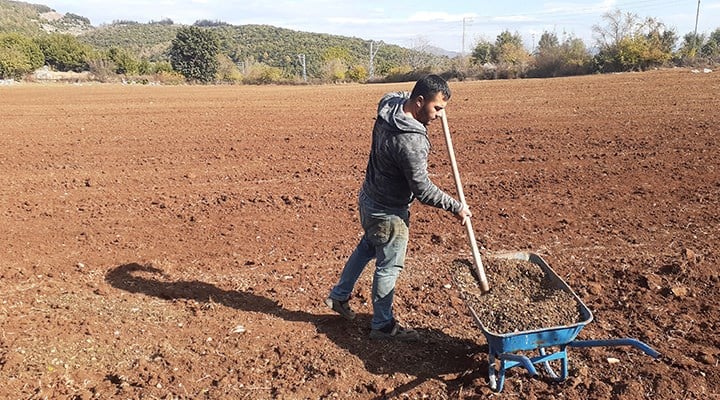 Tarlaya Gübre Ne Zaman Atılmalı Doğru Gübreleme Zamanı Ve Yöntemleriyle Verimi Nasıl Artırabiliriz (3)