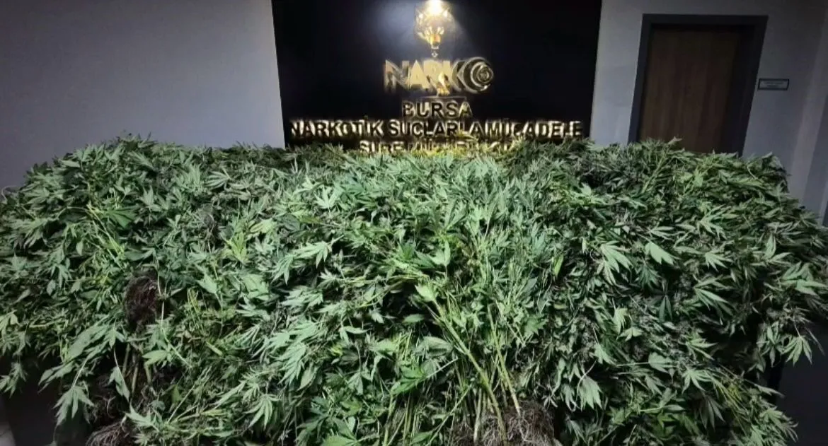 Bursa'da Zehir Tacirlerine Yapılan Baskında 34 Şüpheli Tutuklandı (1)