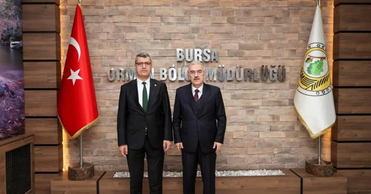Genç Gazete Bursa, Orman Yangınlarına Karşı Önlemlerini Alıyor 2