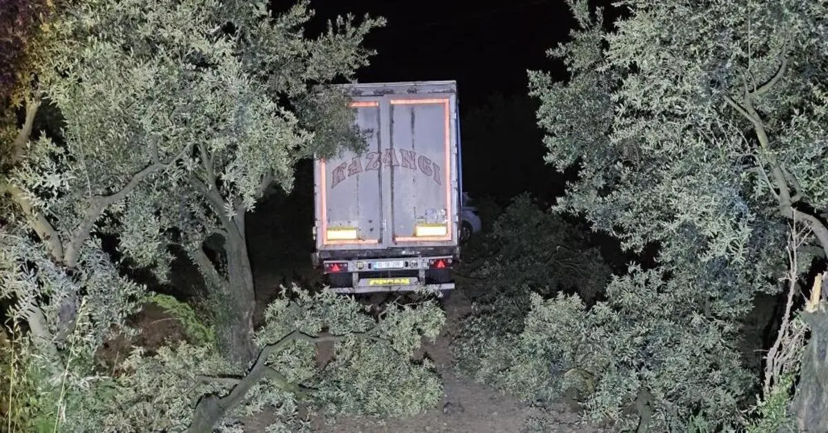 Genç Gazete Bursa’da Tır Otomobili Metrelerce Sürükledi, Otomobil Sürücüsü Olay Yerinde Hayatını Kaybetti 3