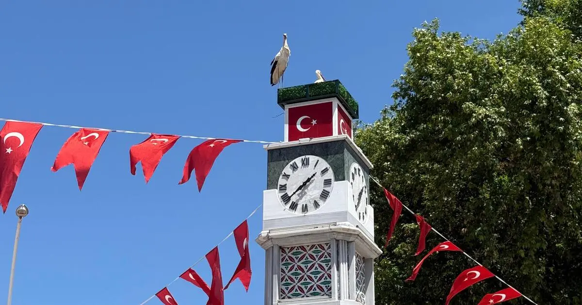 Genç Gazete İznik’te Can Ve Canan Leylekler Yuvalarına Döndü 4