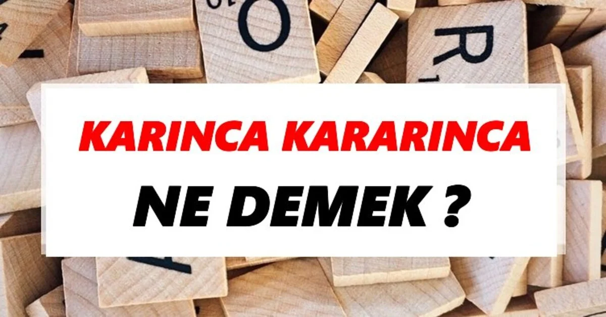 Genç Gazete Karınca Kararınca Deyimi Ne Demek Neden Hâlâ Bu Kadar Anlamlı 1