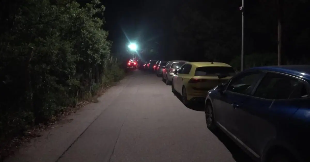 Genç Gazete Osmangazi Belediyesi’ne Bağlı Barınakta Yeni Bir Hayvan Katliamı 1