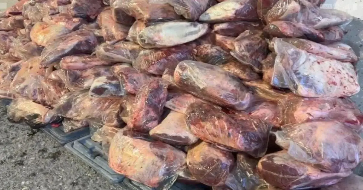 Genç Gazete Şanlıurfa’da Jandarma 1 Ton 700 Kilo Mühürsüz Et Ele Geçirdi 1