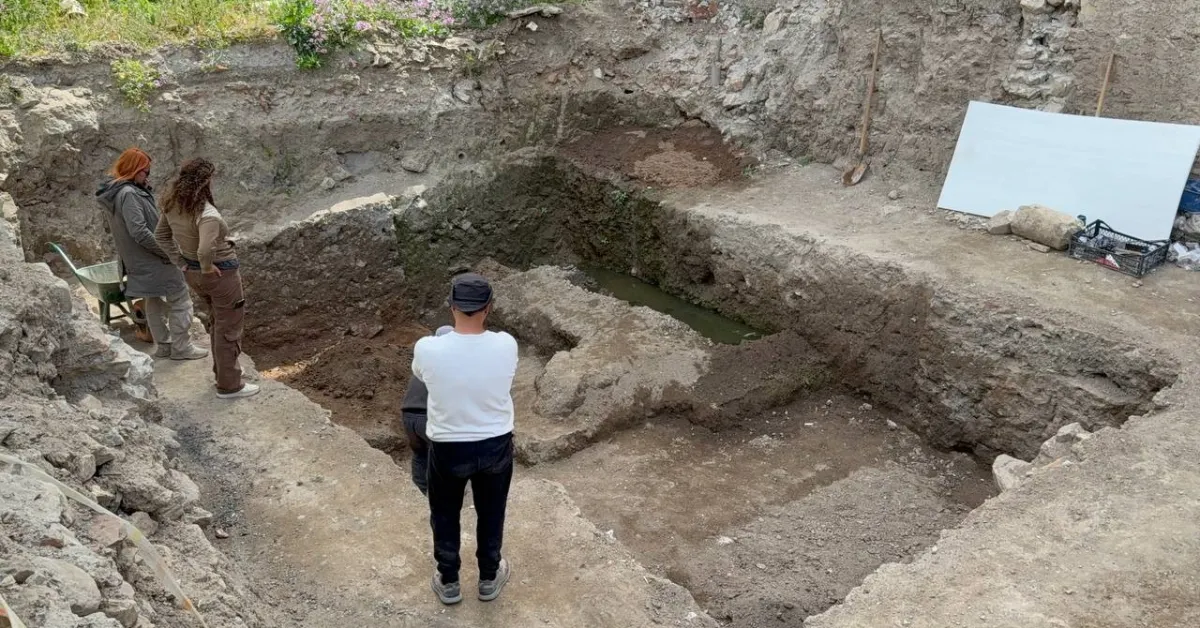 İznik'te Mozaik Keşfi Papa Ziyareti Öncesi Kalyon Ve Geyik Desenleri Ortaya Çıktı (1)