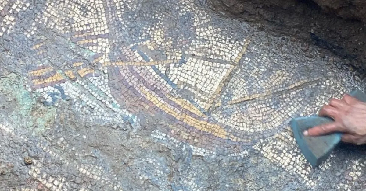 İznik'te Mozaik Keşfi Papa Ziyareti Öncesi Kalyon Ve Geyik Desenleri Ortaya Çıktı (2)