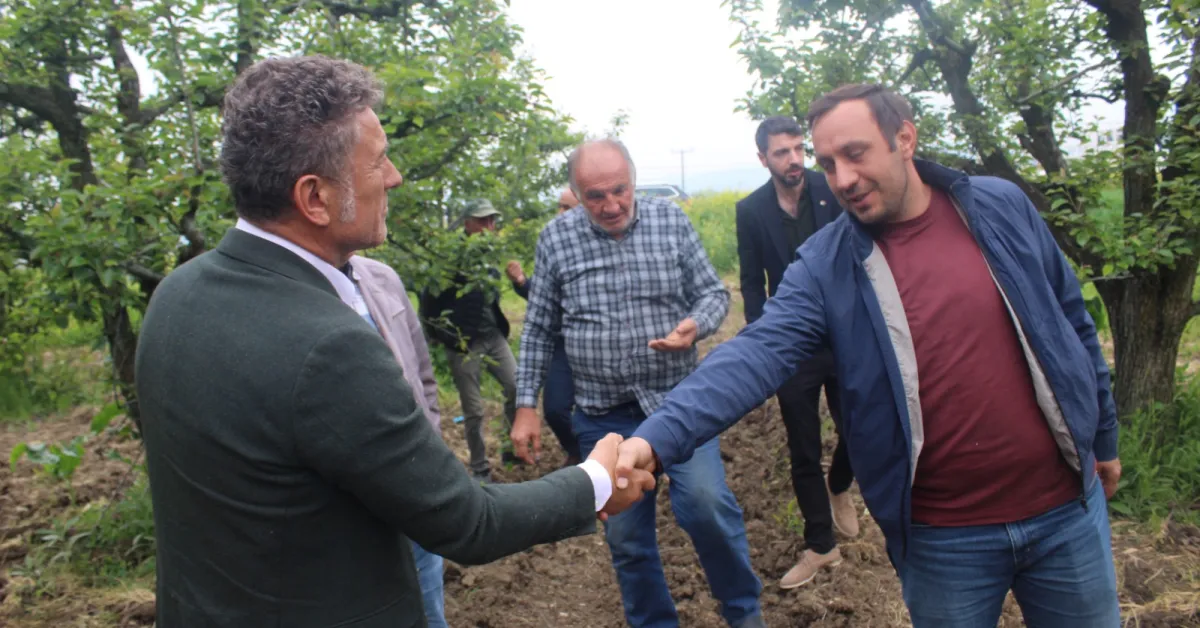 Orhan Sarıbal “İnegöl’de Tarımsal Don Çiftçiyi Vurdu, Hızlı Destek Şart” (7)