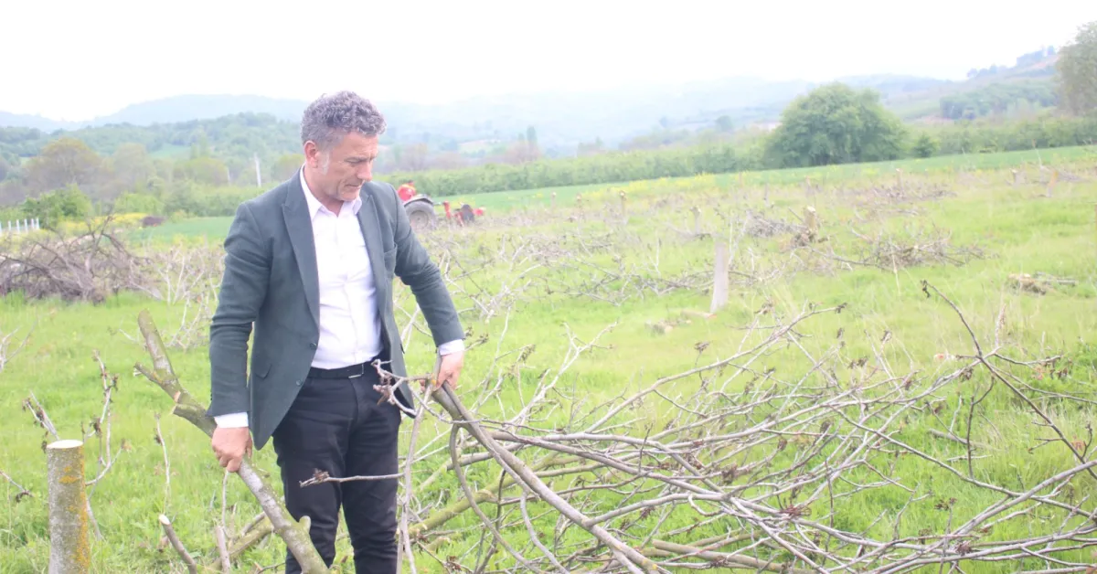 Orhan Sarıbal “İnegöl’de Tarımsal Don Çiftçiyi Vurdu, Hızlı Destek Şart”