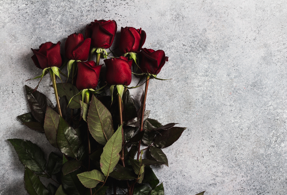 Rüyada Gül Görmek Ne Anlama Gelir Rüyada Gül Bahçesi Gencgazete Rosa Rossa (27)