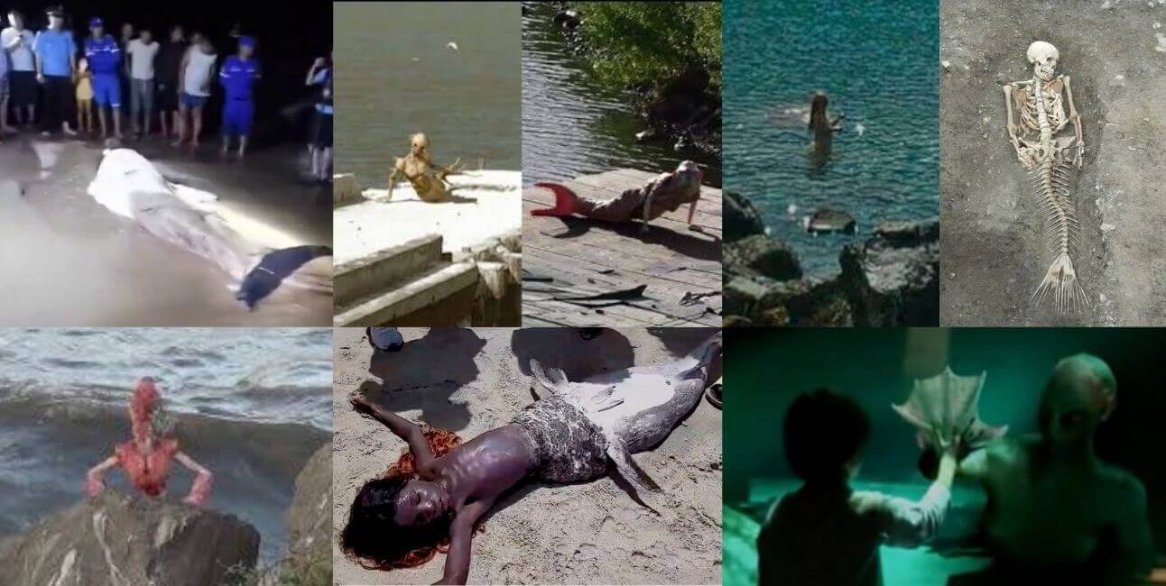 Sen Hiç Bir Denizkızı Gördün Mü Denizkızları Gencgazete Denizkizi (12)