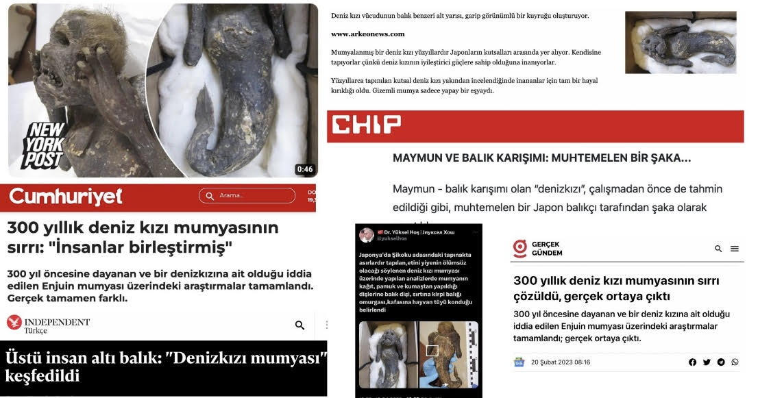 Sen Hiç Bir Denizkızı Gördün Mü Denizkızları Gencgazete Denizkizi (13)