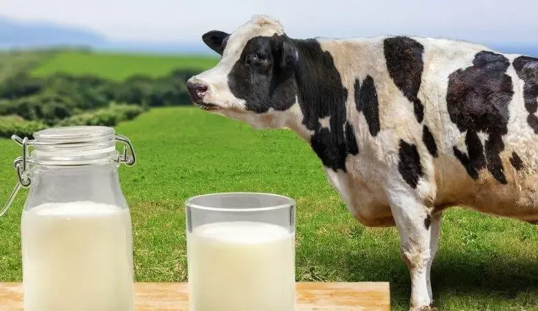 Sütaş, Pınar, Yörükoğlu Ve Eti Hakkında Soruşturma Başlatıldı! (3)