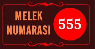 555 Melek Sayisi Gencgazete (2)-1