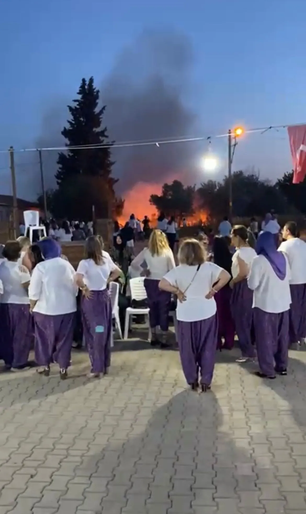 Bursa'da Havai Fişekler Köyü Yaktı! (5)