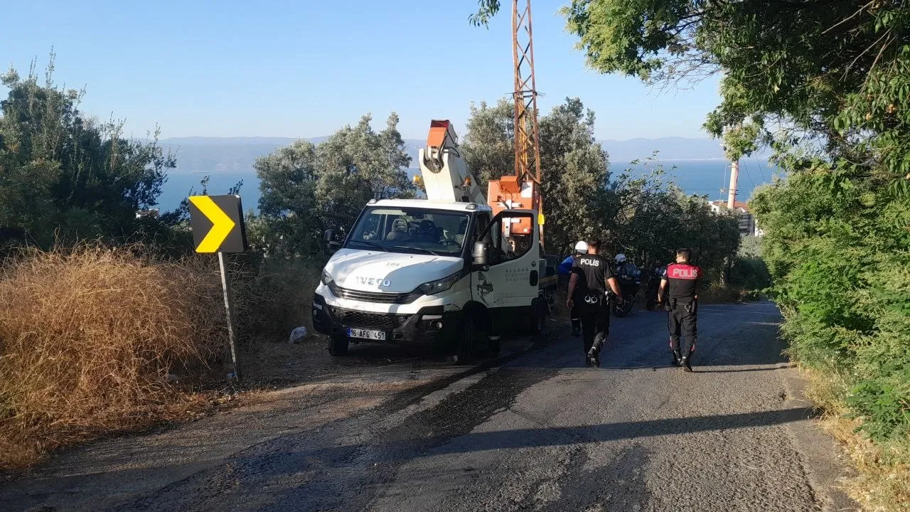 Bursa’da Karga Yangına Neden Oldu! (4)