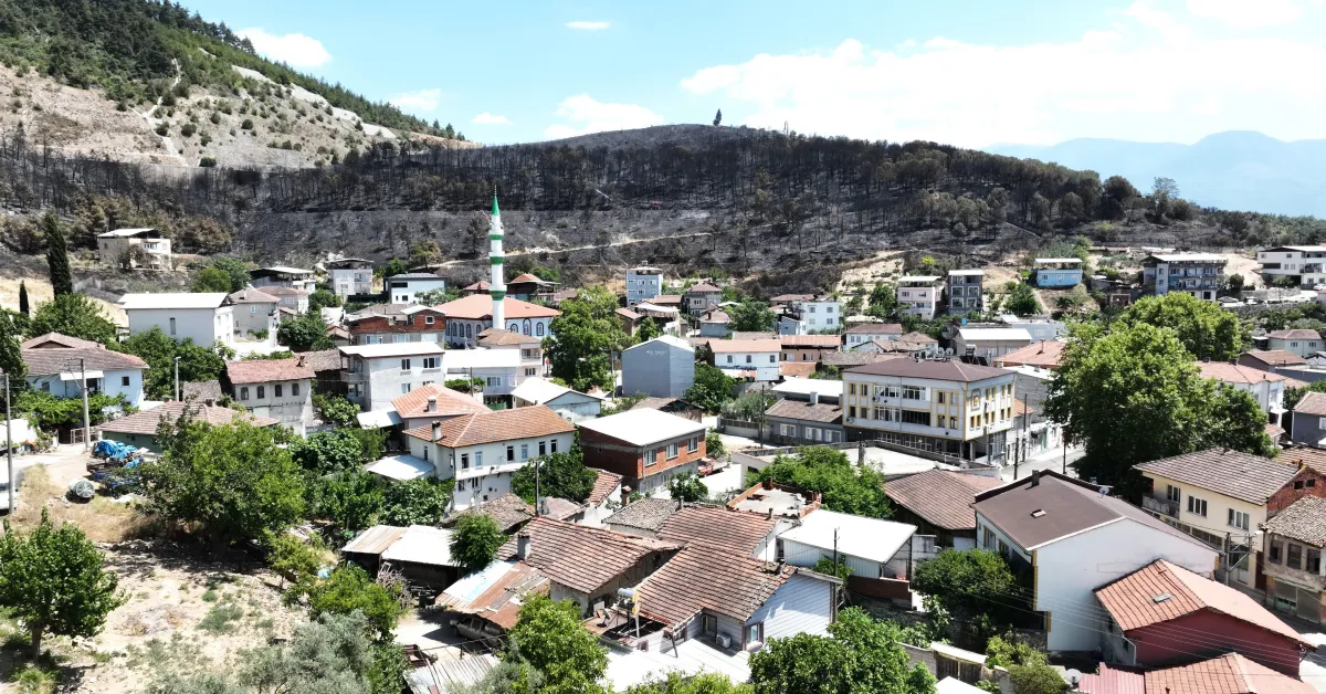 Bursa'da Orman Yangını Felaketi Mahalle Küle Döndü (1)