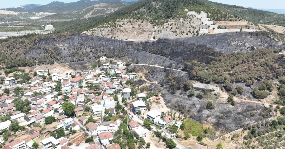 Bursa'da Orman Yangını Felaketi Mahalle Küle Döndü (2)
