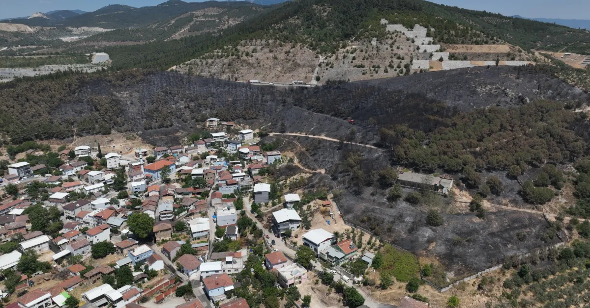 Bursa'da Orman Yangını Felaketi Mahalle Küle Döndü (3)