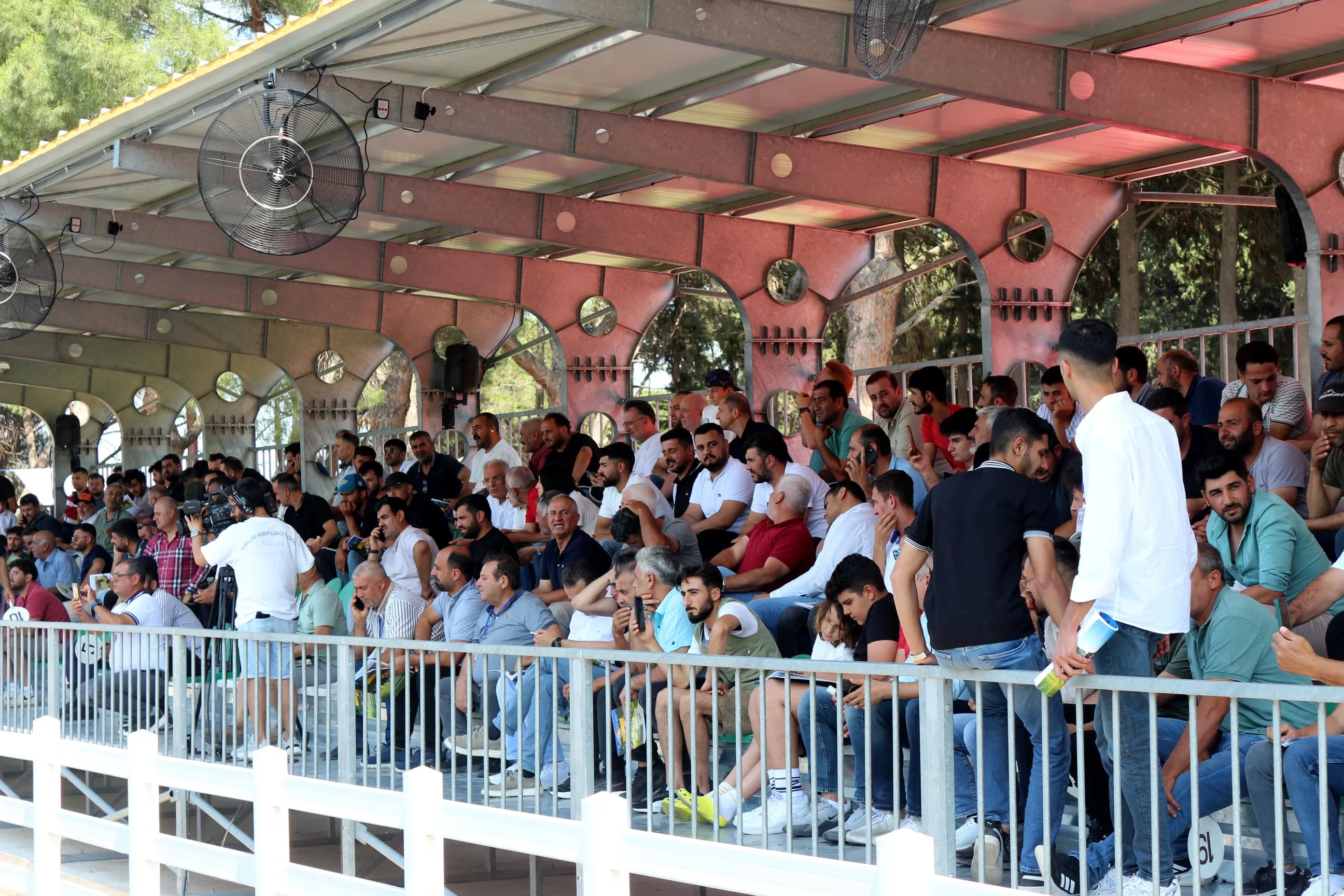 Bursa'da Ti̇gem Tay Satışında Rekor Kırdı! (5)