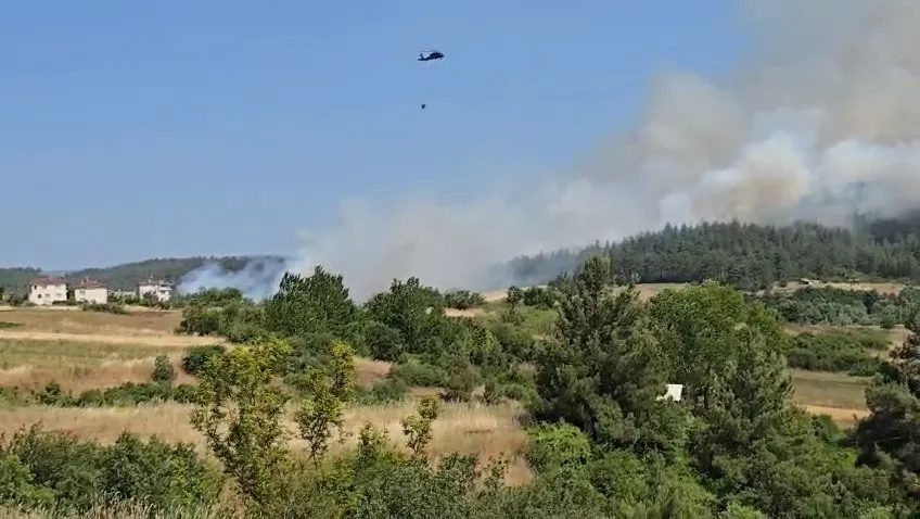 Bursa'daki O Köy Yangın Sebebiyle Tahliye Ediliyor (1)-1