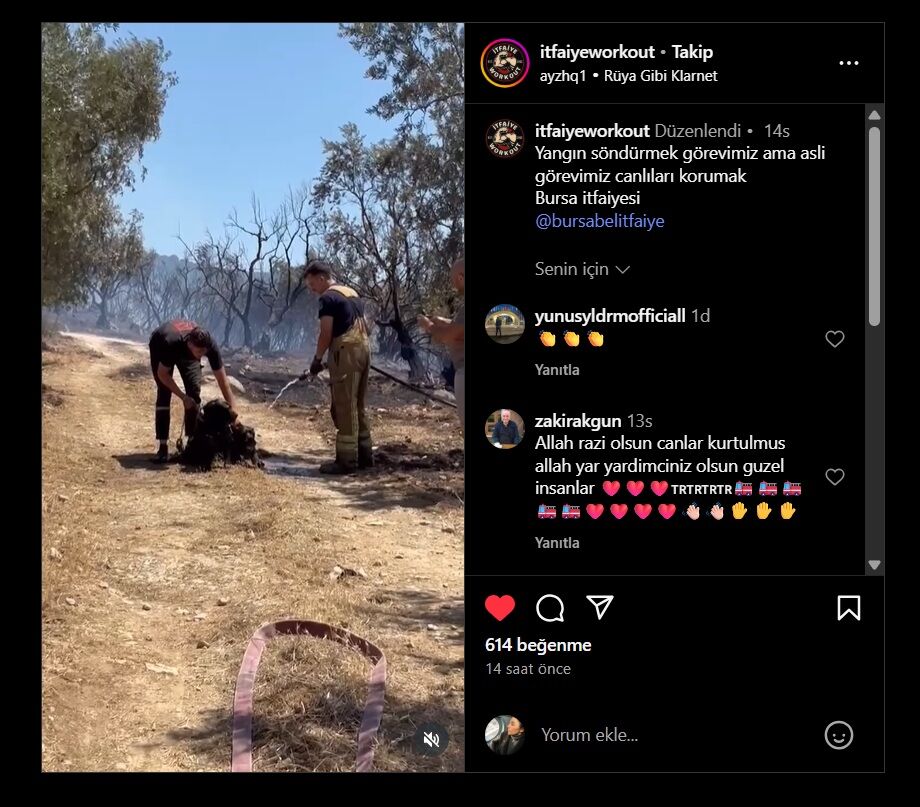 Bursa’daki Yangında 2 Köpek Alevlerin Ortasında Kaldı, İtfaiye Böyle Kurtardı! (6)