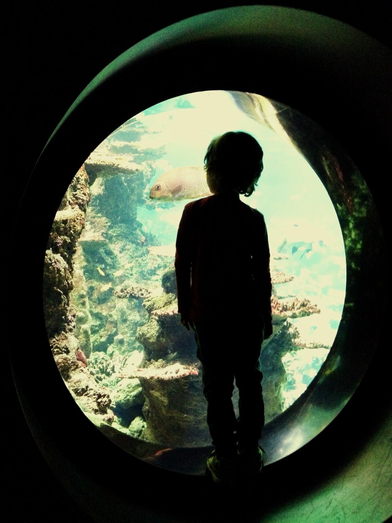 Doğduğun İsmin Kaderine Etkisi Var Mı İsimlerin Frekansı Ve Anlamı Isim Ve Kader Gencgazete (57)