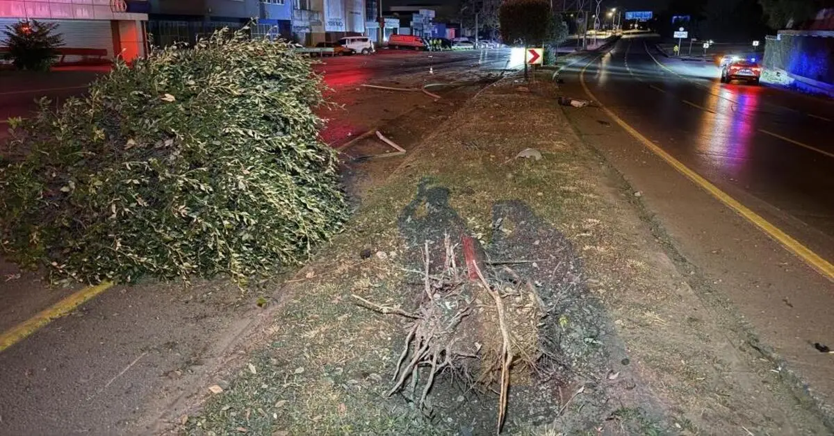 Genç Gazete Alkollü Sürücü Dehşet Saçtı Karşı Şeride Geçip Ortalığı Savaş Alanına Döndürdü 2