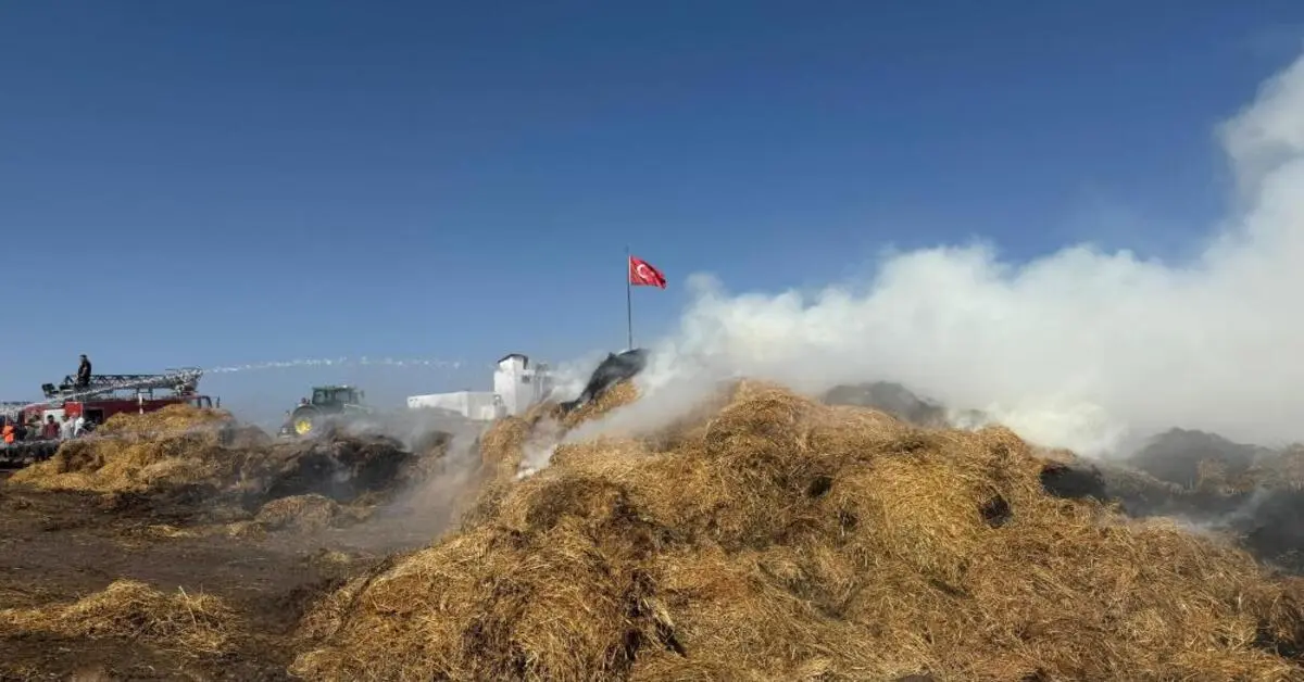 Genç Gazete Antalya’da Saman Yüklü Tır Alev Alev Yandı 1
