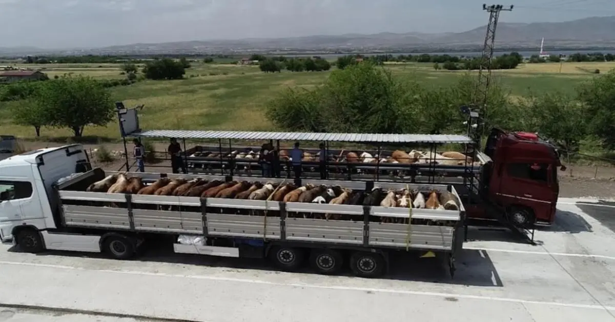 Genç Gazete Bakan Yumaklı'dan Müjde! Satılmayan Kurbanlıkları Esk Alacak-1