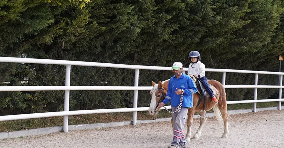 Genç Gazete Bir Hafta Sonu Serüveni Mi, Yoksa Doğayla Buluşma Fırsatı Mı Bursa’da At Binmek İçin Nereye Gidilir 3
