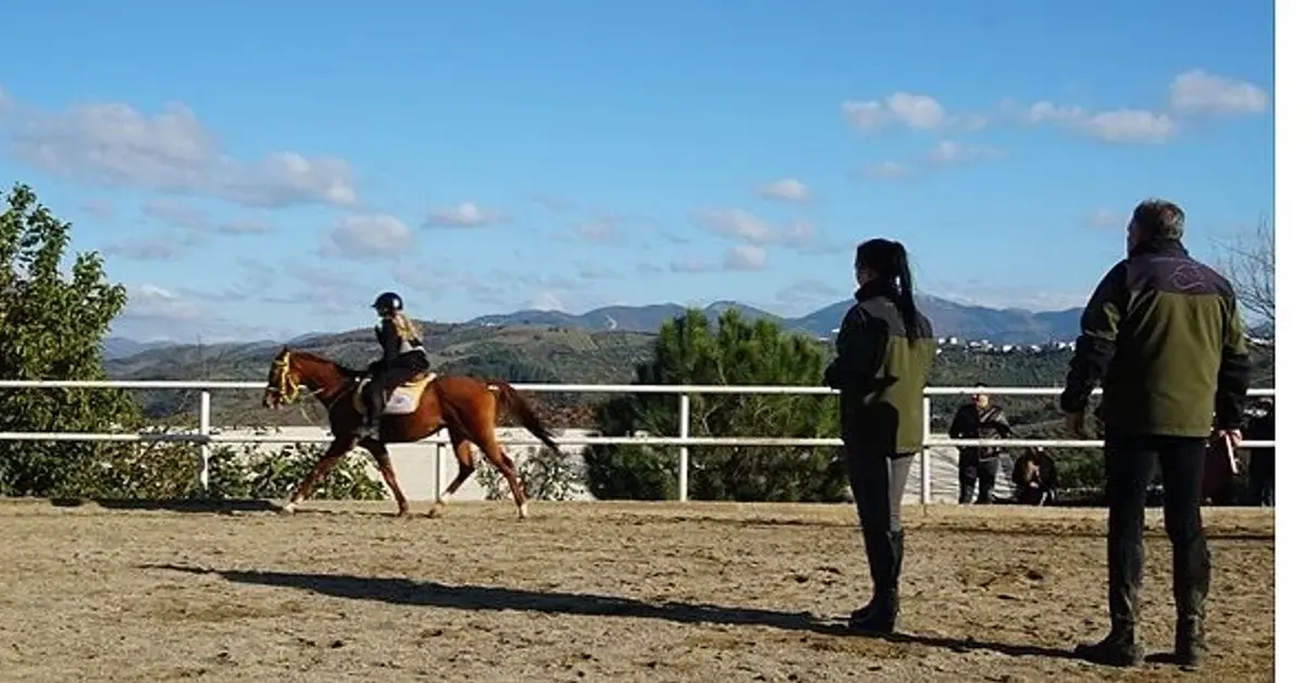 Genç Gazete Bir Hafta Sonu Serüveni Mi, Yoksa Doğayla Buluşma Fırsatı Mı Bursa’da At Binmek İçin Nereye Gidilir