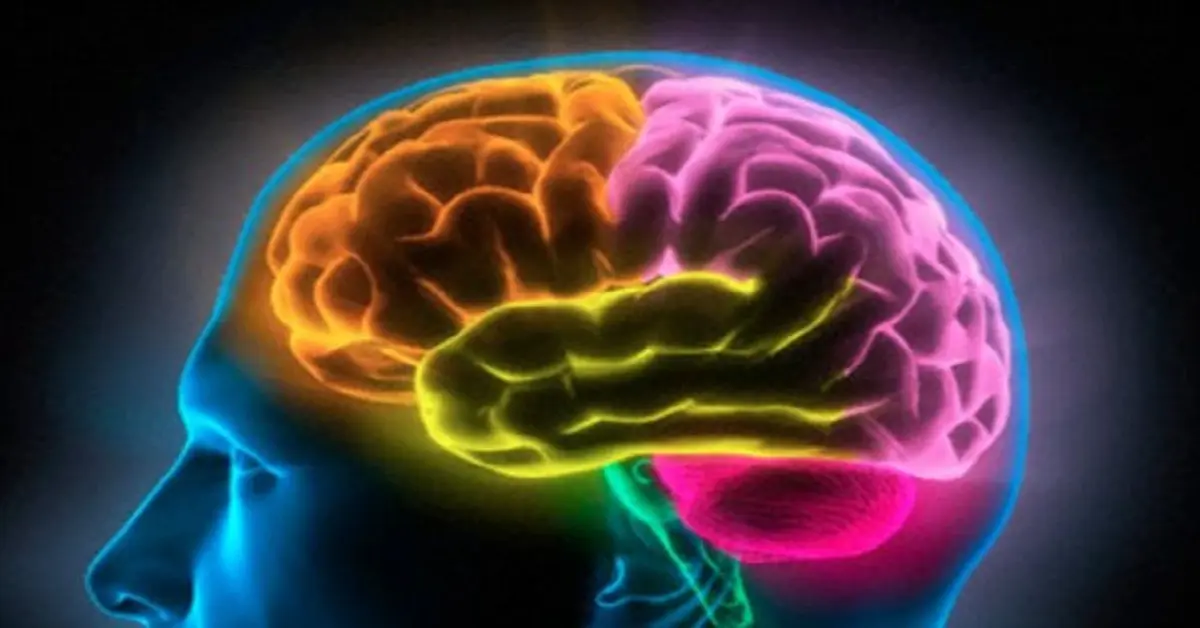 Genç Gazete Brainrot Nedir, Nasıl Anlaşılır Ve Kimlerde Görülür Kesinlikle Bilinmesi Gereken Detaylar Nelerdir