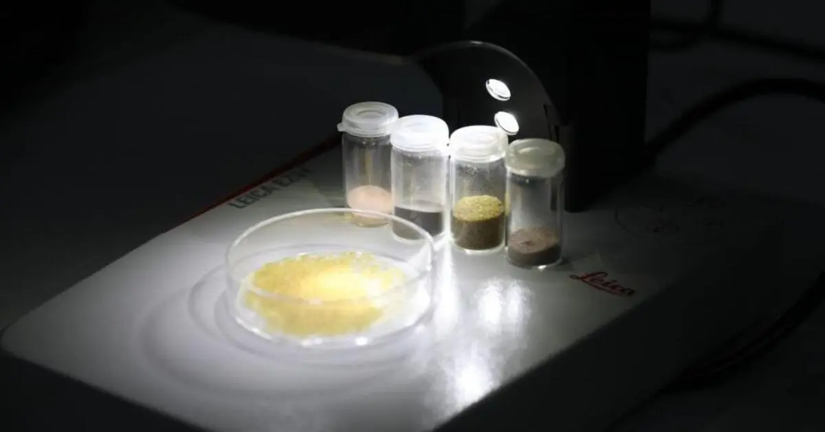 Genç Gazete Btü, Fındık Küspesiyle Gıdada Yeni Dönem Başlatıyor