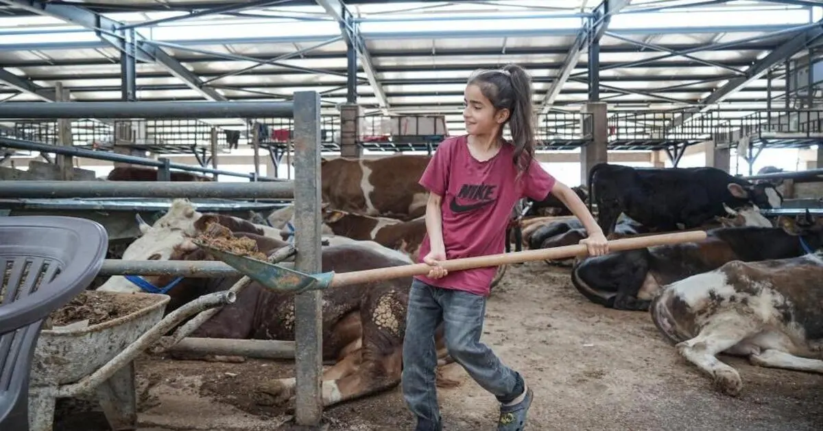 Genç Gazete Bursa'da 8 Yaşındaki Ecrin Kurban Pazarının En Küçük Emekçisi Oldu 3