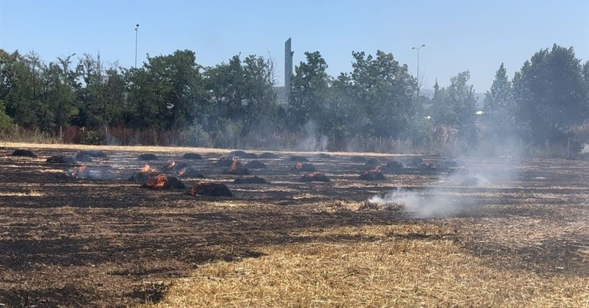 Genç Gazete Bursa’da Anız Yangını Rüzgarla Büyüyen Alevler 1 Saatte Söndürüldü