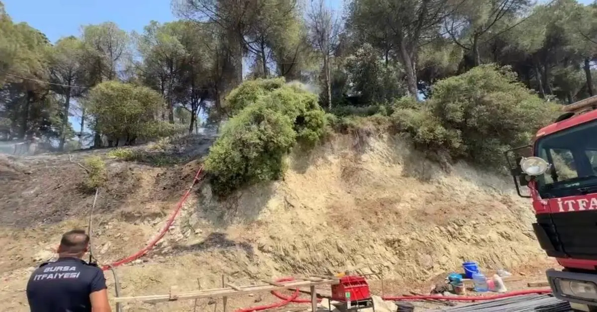 Genç Gazete Bursa'da Çamlık Alanda Çıkan Yangın Kısa Sürede Söndürüldü 1