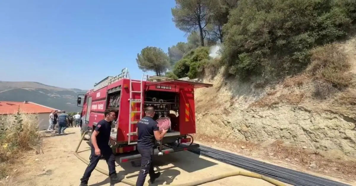 Genç Gazete Bursa'da Çamlık Alanda Çıkan Yangın Kısa Sürede Söndürüldü 2