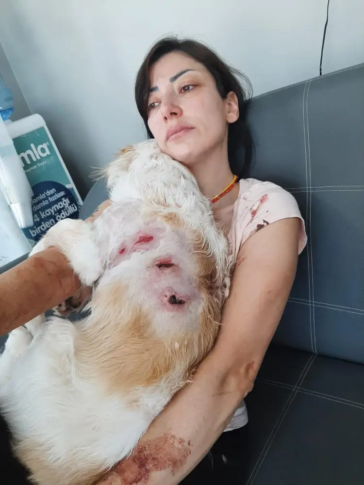Genç Gazete Bursa’da Kangal Saldırısı Genç Kadın Ve Köpeği Yaralandı 2