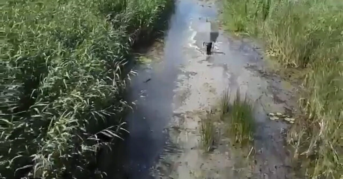 Genç Gazete Bursa’da Kaybolan Adam, Dronu Takip Ederek Kurtuldu-2