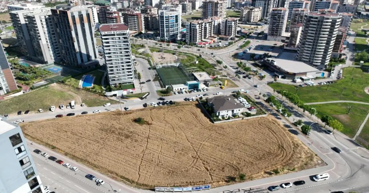 Genç Gazete Bursa'da Milyon Dolarlık Lüks Gökdelenlerin Ortasında Buğday Hasadı