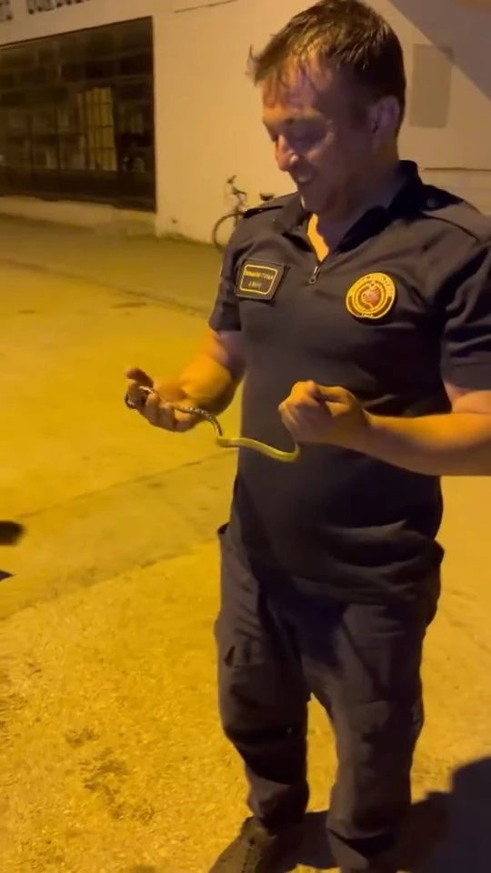 Genç Gazete Bursa'da Nefes Kesen Anlar Motosiklete Giren Yılanı Eliyle Çıkardı! 1