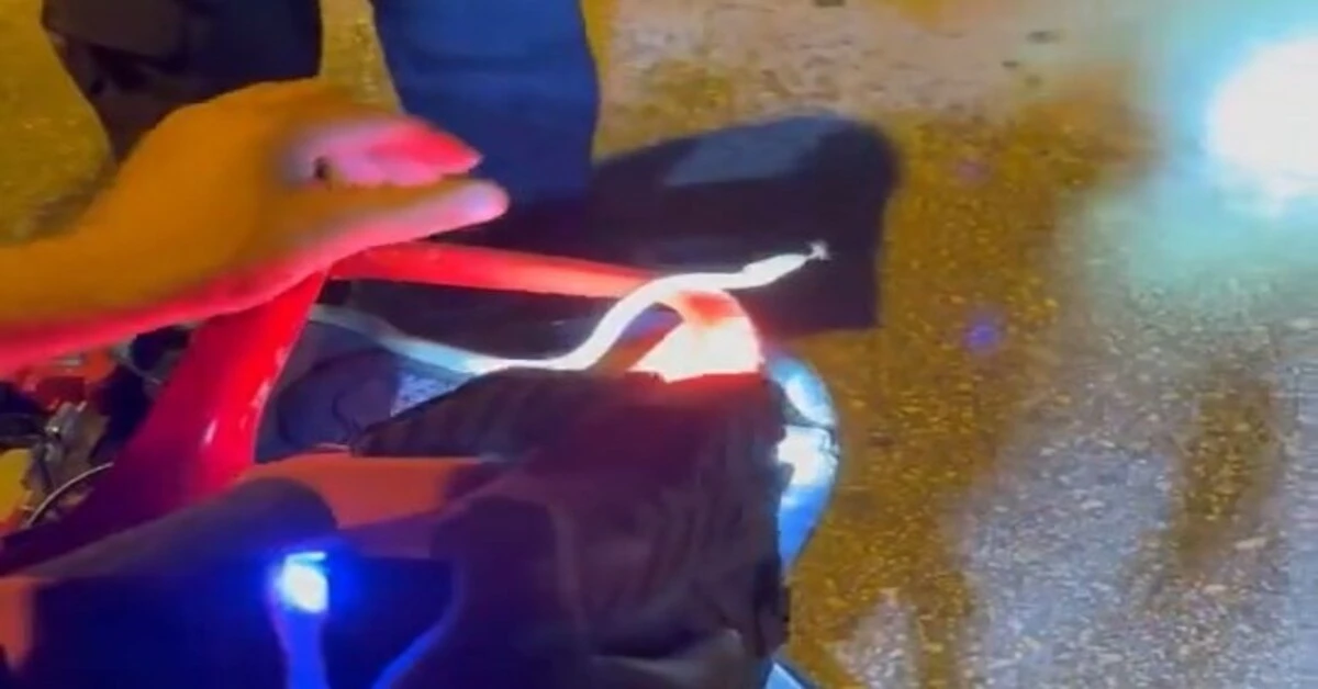 Genç Gazete Bursa'da Nefes Kesen Anlar Motosiklete Giren Yılanı Eliyle Çıkardı!