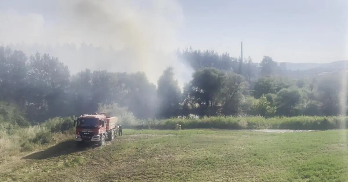 Genç Gazete Bursa'da Orman Yangını Kontrol Altına Alındı 242 Personelle Müdahale Edildi